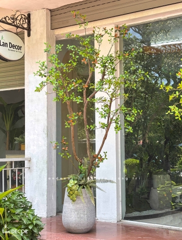 Cây Giả- Cây Lá Đỏ Giả Thiết Kế Tiểu Cảnh Độc Đáo, Trưng Bày Không Gian Mới Lạ (230cm)- CC1388