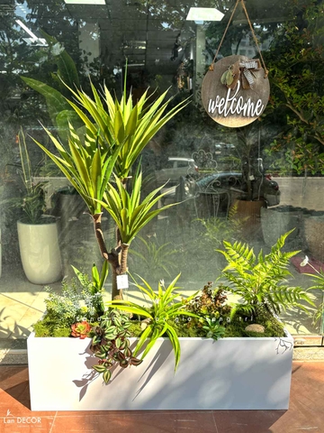 Bồn Cây Giả- Tiểu Cảnh Cây Yucca Decor Phong Cách Hiện Đại (100x40x120cm)- BC303