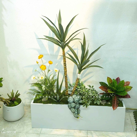Bồn Cây Trang Trí - Bồn Tiểu Cảnh Cây Yucca Trang Trí Độc Đáo (110x45x130cm)- BC304