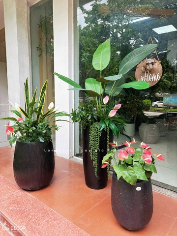 Cây Giả - Chậu Cây Chuối Rẻ Quạt Trang Trí Không Gian Phong Cách Hiện Đại (150cm)- CC1344