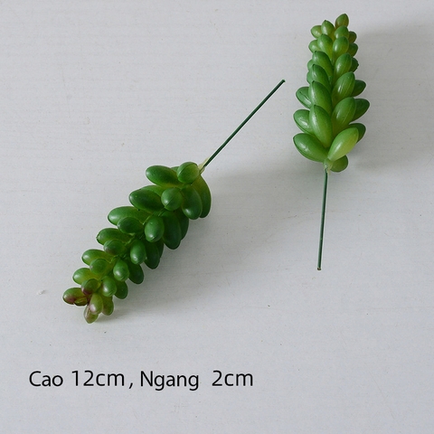 Cành sen  đá decor Trang trí nhà cửa, chậu cây     -   Sen đá 15