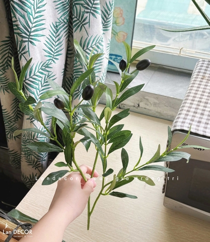 Cành Lá Giả- Cành Lá Olive Thiết Kế Cây Giả Tiểu Cảnh - HC421, HC422