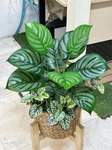 Giỏ Cây Giả - Giỏ Cây Lá Táo Decor Tiểu Cảnh Xanh (60cm)- CC1352