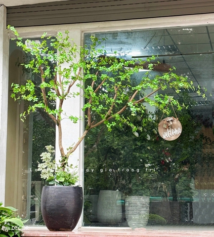Cây Giả- Cây Thạch Nam Tiểu Cảnh Thiết Kế Không Gian (220cm)- CC1356