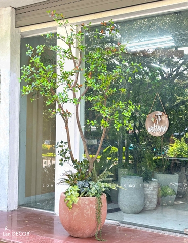 Cây Giả- Cây Lá Đỏ Giả Thiết Kế Tiểu Cảnh Độc Đáo, Trưng Bày Không Gian Mới Lạ (230cm)- CC1388