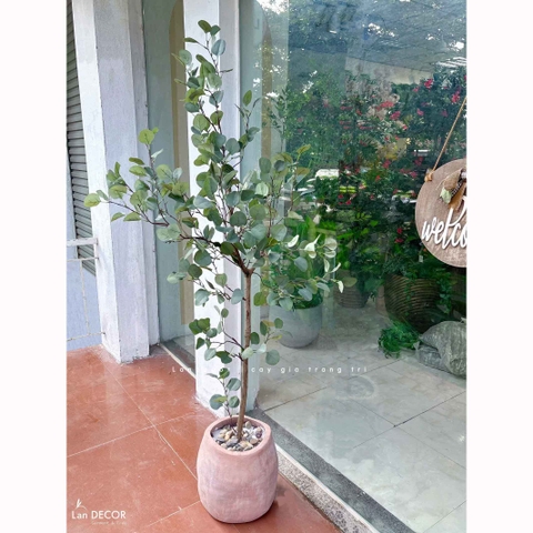 Cây Giả Decor - Cây Bạch Đàn Giả Decor Nội Thất Hiện Đại- CC1443