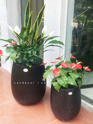 Cây Giả Tiểu Cảnh - Chậu Cây Hồng Môn Giả Decor Không Gian Độc Đáo (70cm)- CC1343