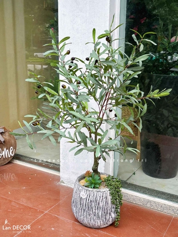 Cây Giả Trang Trí- Cây Olive Giả Trang Trí Tiểu Cảnh Nhỏ Xinh- CC1440