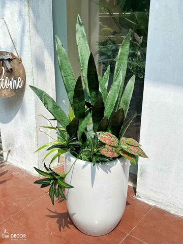 Cây Giả- Cây Lưỡi Hổ Xanh Giả Trang Trí Cửa Hiệu Hiện Đại - CC1494