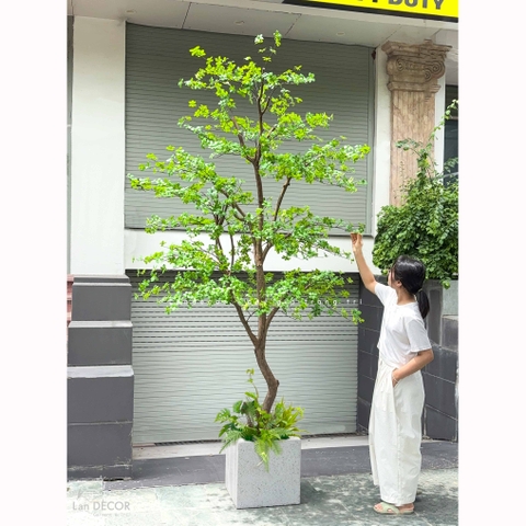 Cây Giả Tiểu Cảnh - Cây Thạch Nam Giả Thiết Kế Giếng Trời, Trang Trí Không Gian Lớn- CC1389