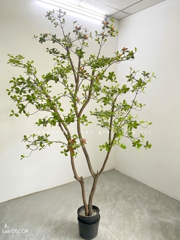 Cây Giả- Cây Lá Đỏ Giả Thiết Kế Tiểu Cảnh Độc Đáo, Trưng Bày Không Gian Mới Lạ (230cm)- CC1388