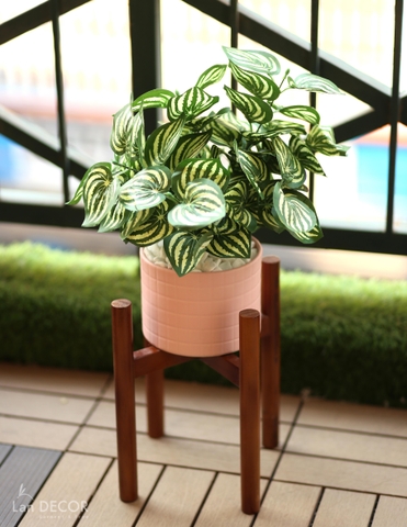 KG100 - KỆ TRỤ GỖ ĐỠ CÂY (22 CM)