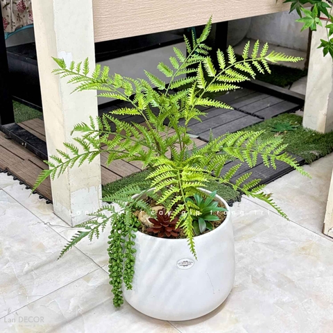 Cây Giả Decor- Cây Dương Xỉ Giả Mix Tiểu Cảnh Sen Đá Trang Trí Không Gian (55cm)- CC1468