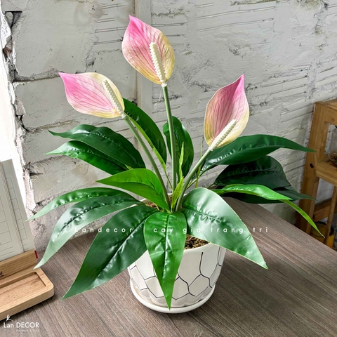 Cây Giả Trang Trí- Chậu Hoa Lan Ý Giả Trang Trí Phòng Khách (50cm)- CC1475