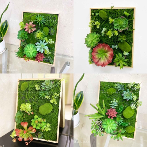 KHUNG TRANH RÊU SEN ĐÁ TRANG TRÍ TIỂU CẢNH - KTR010(30X40)