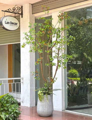 Cây Giả- Cây Lá Đỏ Giả Thiết Kế Tiểu Cảnh Độc Đáo, Trưng Bày Không Gian Mới Lạ (230cm)- CC1388