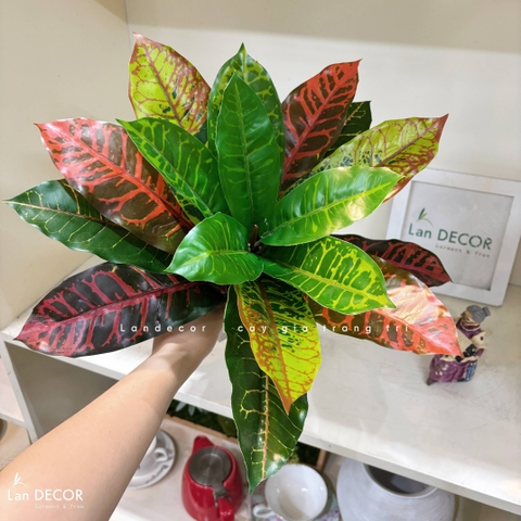 Cây Giả Để Bàn- Cây Vàng Anh Giả Trang Trí Kệ Tủ, Văn Phòng Độc Đáo (36cm)- LC3121