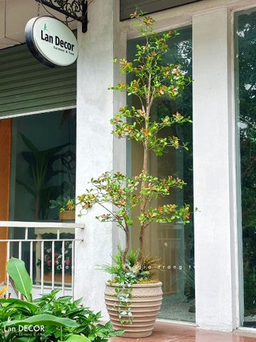 Cây Giả Thiết Kế- Cây Cành Cổ 3 Lá Độc Đáo, Thiết Kế Không Gian Hiện Đại (230cm)- CC1354