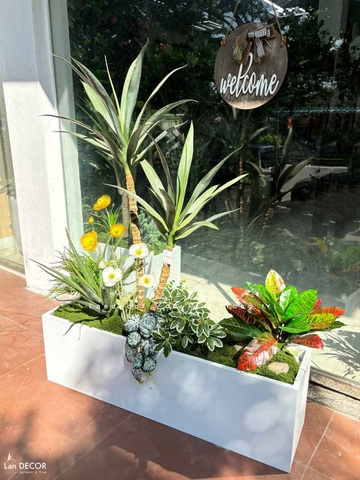 Bồn Cây Trang Trí - Bồn Tiểu Cảnh Cây Yucca Trang Trí Độc Đáo (110x45x130cm)- BC304
