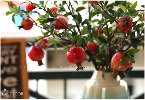 Bình lựu để bàn cao 50cm - BH1012
