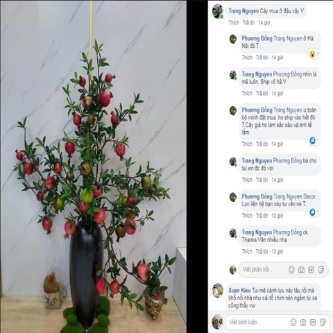 bình lựu giả