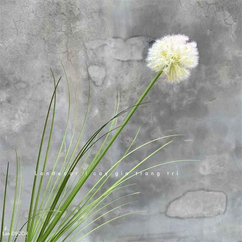 Hoa Bồ Công Anh Giả- Cành Hoa Bồ Công Anh Giả Decor Tự Nhiên, Tươi Mới Không Gian- HC1299