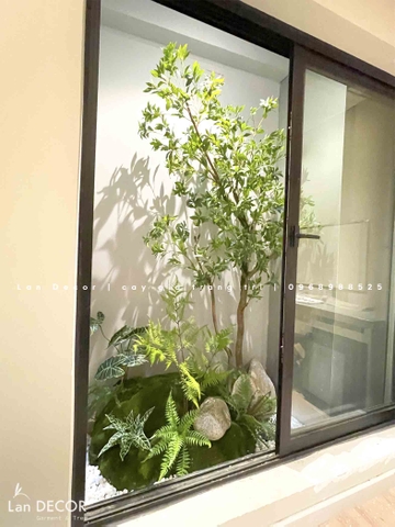 THI CÔNG MẢNG TƯỜNG RÊU, BỒN CÂY TIỂU CẢNH CHO KHÁCH SẠN HÀNG THÙNG- CT313