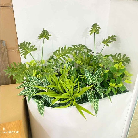 Tiểu Cảnh Cây Giả- Mẫu Tiểu Cảnh Cây Cảnh Giả Trang Trí Văn Phòng Xanh- CC1181-SG