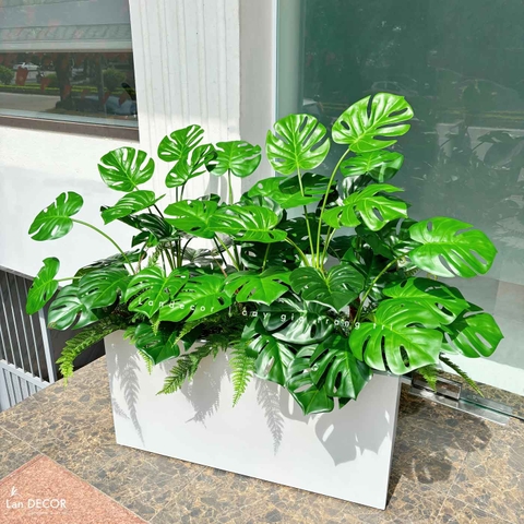 Bồn Cây Giả- Bồn Monstera Trang Trí Tiểu Cảnh Xanh Tươi (130X65X115cm)- BC226