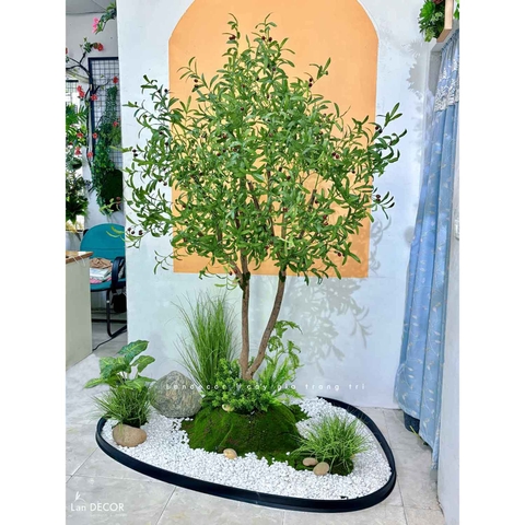 Tiểu Cảnh Rêu Cây - Tiểu Cảnh Cây Olive Thiết Kế Thẩm Mỹ Trong Decor Hiện Đại (145x115x135cm)- RC118