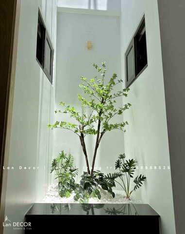 Tiểu Cảnh Gầm Cầu Thang- Bồn Cây Thạch Nam Thiết Kế ( 100x150x300cm)- RC054