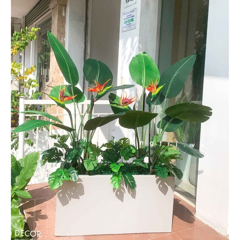 Bồn chuối thiên điểu trang trí nhà đẹp Landecor - CC431