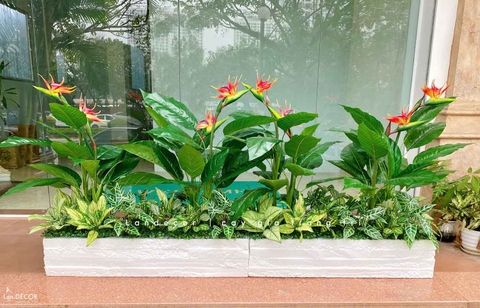 Bồn Hoa Thiên Điểu Thiết Kế Không Gian (35X120X105cm)- CC993