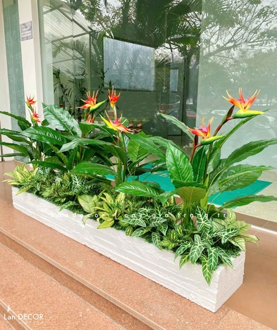 Bồn Hoa Thiên Điểu Thiết Kế Không Gian (35X120X105cm)- CC993