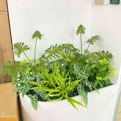 Tiểu Cảnh Cây Giả- Mẫu Tiểu Cảnh Cây Cảnh Giả Trang Trí Văn Phòng Xanh- CC1181-SG