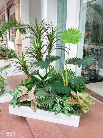 Bồn Rêu Thiết Kế- Bồn Rêu Cây Phất Dụ Thiết Kế Căn Hộ Xanh Mát (100x100x130cm)- RC114