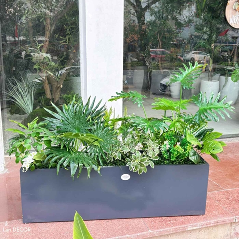 Bồn Cây Tiểu Cảnh- Bồn Cây Giả Thiết Kế Không Gian Xanh Tự Nhiên (120X50X90CM) - BC243