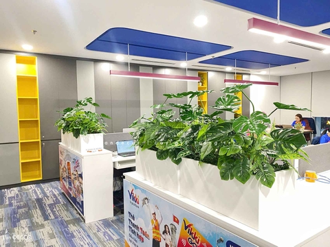 Tiểu Cảnh Văn phòng- Bồn Cành Lá Monstera Thiết Kế Lan Decor, Kiến Tạo Không Gian Xanh Tươi Mới (56x26x20cm)- BC209-SG