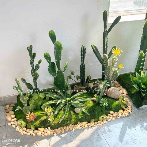 Bồn Rêu Tiểu Cảnh- Bồn Xương Rồng Thiết Kế Ấn Tượng