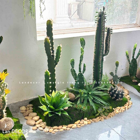 Bồn Rêu Tiểu Cảnh- Bồn Xương Rồng Thiết Kế Ấn Tượng