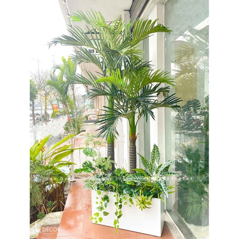 Bồn Cây Dừa Trang Trí Tiểu Cảnh (80x30x200cm)- CC1032-1