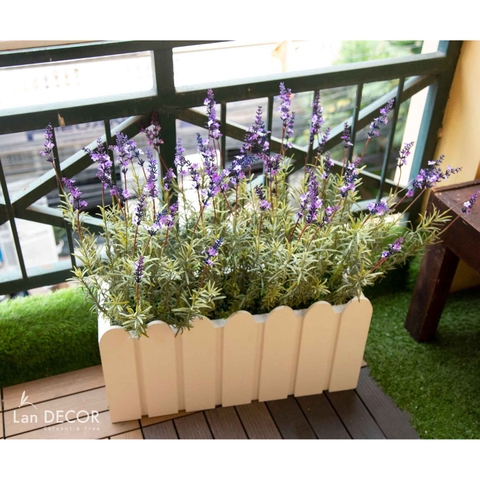 Bồn Hoa Oải Hương Trang Trí Nhà (80X40X65cm) - BC141