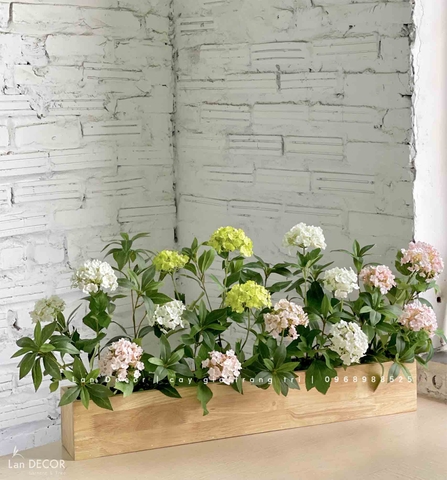 Bồn Hoa Tú Cầu Trang Trí Ban Công Xinh Xắn (100x20x40cm)- CC950