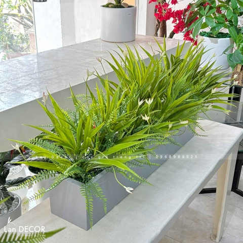 Bồn Cây Tiểu Cảnh- Bồn Lan Trắng Trang Trí Không Gian (80x15x15cm)- CC1000