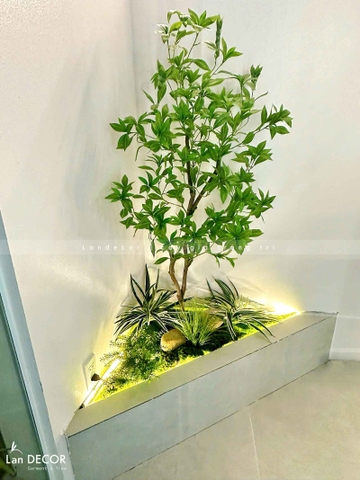 Tiểu Cảnh Rêu Cây- Bồn Rêu Cây Asebi Thiết Kế Lan Decor, Trang Trí Tiểu Cảnh Căn Hộ (117x64x160cm)- RC096