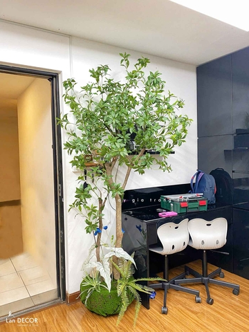 Cây Giả Thiết Kế- Cây Linh Sơn Thiết Kế Tiểu Cảnh Ấn Tượng - CC1005