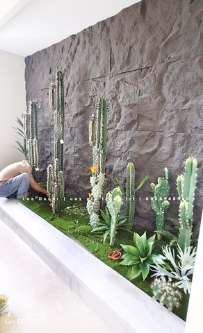 THIẾT KẾ BỒN RÊU XƯƠNG RỒNG CHO KHÁCH HÀNG KĐT TRUNG VĂN- CT315