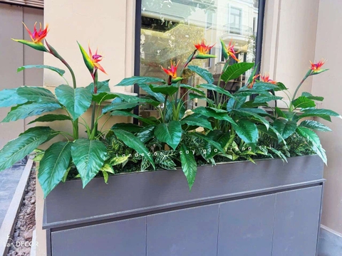Bồn Hoa Thiên Điểu Thiết Kế Không Gian (35X120X105cm)- CC993