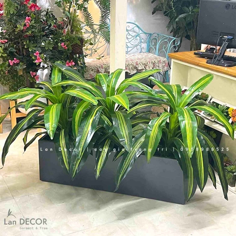 Bồn Cây Tiểu Cảnh- Bồn Thiết Mộc Lan Thiết Kế Không Gian Ấn Tượng (150x60x80cm)- CC977