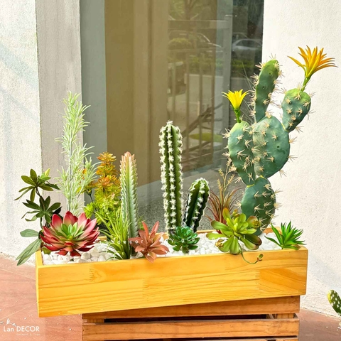 Xương Rồng Giả- Bồn Xương Rồng Giả Để Bàn Thiết Kế Trang Trí Cửa Hiệu (60x20x60cm)- BC236